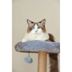Catry 42.1-in Oak 7-Level Cat Tree With Jute Scratching Posts & Cozy Hammock -Almo nature Sales 354549 PT3. AC SS1800 V1640317313