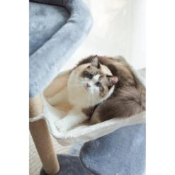 Catry 42.1-in Oak 7-Level Cat Tree With Jute Scratching Posts & Cozy Hammock -Almo nature Sales 354549 PT4. AC SS1800 V1640317623