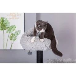 Catry Interactive 7-Level Cat Tree With Condo, Scratching Posts, & Toys 15 Catry Interactive 7-Level Cat Tree With Condo, Scratching Posts, & Toys -Almo nature Sales 354554 PT4. AC SS1800 V1640317320