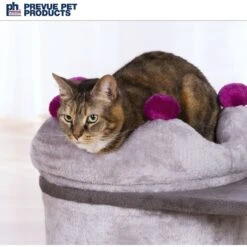 Prevue Pet Products King's Manor Cat Castle -Almo nature Sales 354654 PT7. AC SS1800 V1693491818