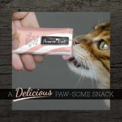 Fussie Cat Tuna With Salmon Puree Lickable Cat Treats, 0.5-oz Pouch, Pack Of 4 12 Fussie Cat Tuna With Salmon Puree Lickable Cat Treats, 0.5-oz Pouch, Pack Of 4 -Almo nature Sales 355860 PT4. AC SS1800 V1641540088