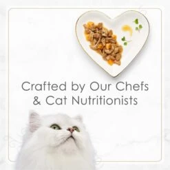 Fancy Feast Gourmet Gravy Petites Turkey & Sweet Potato Entree Wet Cat Food -Almo nature Sales 358577 PT6. AC SS1800 V1647910619