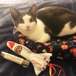 Meowijuana Get Blasted Rocket Wand Refillable Cat Toy With Catnip -Almo nature Sales 363606 PT3. AC SS1800 V1643906482