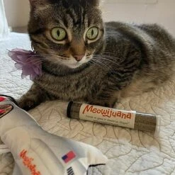 Meowijuana Get Blasted Rocket Wand Refillable Cat Toy With Catnip -Almo nature Sales 363606 PT4. AC SS1800 V1643906483