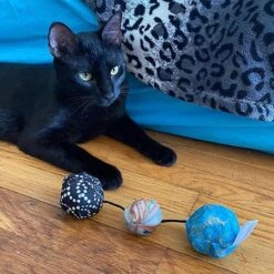 Meowijuana Get Rocked String Of Stones Plush Cat Toy With Catnip 12 Meowijuana Get Rocked String Of Stones Plush Cat Toy With Catnip -Almo nature Sales 363608 PT4. AC SS1800 V1643906483