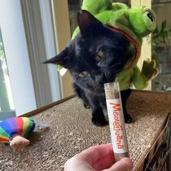 Meowijuana Get A Rise Balloon Refillable Plush Cat Toy With Catnip -Almo nature Sales 363610 PT2. AC SS1800 V1643906484