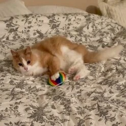 Meowijuana Get A Rise Balloon Refillable Plush Cat Toy With Catnip -Almo nature Sales 363610 PT3. AC SS1800 V1643906484