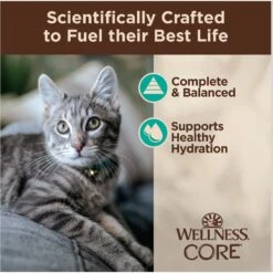 Wellness Tiny Tasters Tuna & Salmon Grain-Free Flaked Wet Cat Food, 1.75-oz Pouch, Case Of 12 -Almo nature Sales 363909 PT3. AC SS1800 V1695845856