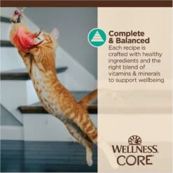 Wellness Tiny Tasters Tuna & Salmon Grain-Free Flaked Wet Cat Food, 1.75-oz Pouch, Case Of 12 -Almo nature Sales 363909 PT6. AC SS1800 V1695845856