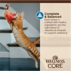 Wellness CORE Tiny Tasters Tuna & Shrimp Grain-Free Flaked Wet Cat Food, 1.75-oz Pouch, Case Of 12 -Almo nature Sales 363911 PT6. AC SS1800 V1695845856