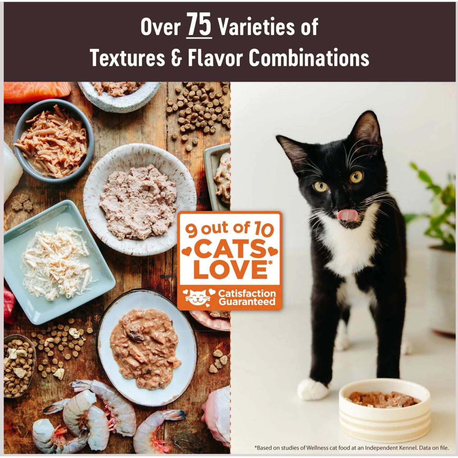 Wellness CORE Tiny Tasters Kitten Chicken Grain-Free Minced Wet Cat Food, 1.75-oz Pouch, Case Of 12 4 Wellness CORE Tiny Tasters Kitten Chicken Grain-Free Minced Wet Cat Food, 1.75-oz Pouch, Case Of 12 - Image 2