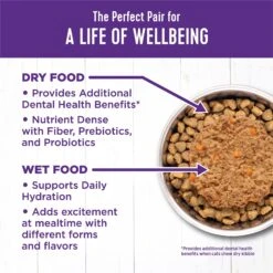 Wellness Complete Health Age Advantage Tuna & Salmon Pate Wet Cat Food -Almo nature Sales 363923 PT5. AC SS1800 V1643252185