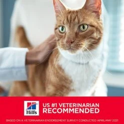 Hill's Science Diet Adult Sensitive Stomach & Sensitive Skin Chicken & Beef Canned Cat Food, 2.8-oz Pouch, Case Of 24 -Almo nature Sales 364089 PT5. AC SS1800 V1643907086