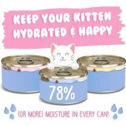 Weruva Kitten Fur Baby Favorites Chicken Flavored Shredded Wet Cat Food Variety Pack, 3-oz Can, Case Of 12 13 Weruva Kitten Fur Baby Favorites Chicken Flavored Shredded Wet Cat Food Variety Pack, 3-oz Can, Case Of 12 -Almo nature Sales 373278 PT3. AC SS1800 V1649879824