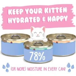 Weruva Kitten Can Jam! Chicken, Tuna & Salmon Flavored Pate Canned Cat Food Variety Pack -Almo nature Sales 373280 PT3. AC SS1800 V1657657676