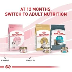 Royal Canin Feline Health Nutrition Thin Slices In Gravy Wet Kitten Food -Almo nature Sales 48733 PT5. AC SS1800 V1702071434