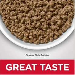 Hill's Science Diet Adult Hairball Control Ocean Fish Entree Canned Cat Food -Almo nature Sales 48987 PT5. AC SS1800 V1598145360