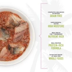 Tiki Cat Grill Sardine Cutlets In Lobster Consomme Grain-Free Canned Cat Food -Almo nature Sales 49110 PT4. AC SS1800 V1703863158