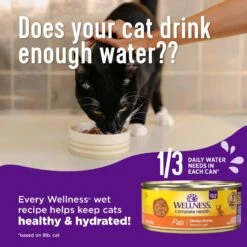 Wellness Complete Health Chicken & Lobster Formula Canned Cat Food -Almo nature Sales 49267 PT3. AC SS1800 V1594837891
