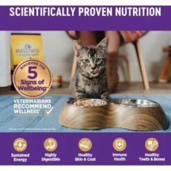 Wellness Complete Health Chicken & Lobster Formula Canned Cat Food -Almo nature Sales 49267 PT4. AC SS1800 V1594840259