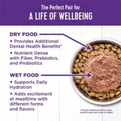 Wellness Complete Health Chicken & Lobster Formula Canned Cat Food -Almo nature Sales 49267 PT5. AC SS1800 V1594912572