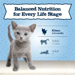 Blue Buffalo Baby Blue Healthy Growth Formula Grain-Free High Protein Salmon Recipe Kitten Wet Food, 3-oz Cans, Case Of 24 -Almo nature Sales 502278 PT7. AC SS1800 V1647638580