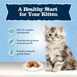 Blue Buffalo Baby Blue Healthy Growth Formula Grain-Free High Protein Chicken Recipe Kitten Wet Food, 3-oz Cans, Case Of 24 -Almo nature Sales 502302 PT3. AC SS1800 V1647638490