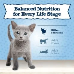 Blue Buffalo Baby Blue Healthy Growth Formula Grain-Free High Protein Chicken Recipe Kitten Wet Food, 3-oz Cans, Case Of 24 -Almo nature Sales 502302 PT7. AC SS1800 V1647638832