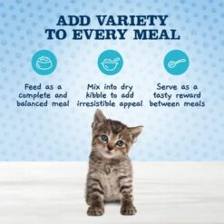 Blue Buffalo Baby Blue Healthy Growth Formula Grain-Free High Protein Variety Pack Kitten Wet Food, 3-oz Can, Case Of 6 12 Blue Buffalo Baby Blue Healthy Growth Formula Grain-Free High Protein Variety Pack Kitten Wet Food, 3-oz Can, Case Of 6 -Almo nature Sales 502350 PT2. AC SS1800 V1647639438
