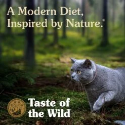 Taste Of The Wild Canyon River Feline Recipe With Trout & Salmon In Gravy Canned Cat Food 10 Taste Of The Wild Canyon River Feline Recipe With Trout & Salmon In Gravy Canned Cat Food -Almo nature Sales 50642 PT3. AC SS1800 V1660850361