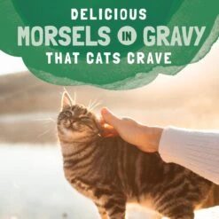 Natural Balance Platefulls Chicken & Giblets Formula In Gravy Grain-Free Cat Food Pouches -Almo nature Sales 50938 PT7. AC SS1800 V1675455580