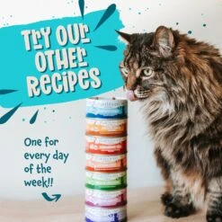 Earthborn Holistic Monterey Medley Grain-Free Natural Canned Cat & Kitten Food 13 Earthborn Holistic Monterey Medley Grain-Free Natural Canned Cat & Kitten Food -Almo nature Sales 51277 PT7. AC SS1800 V1684524203