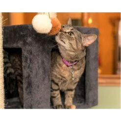 Armarkat Real Wood Giant Cat Tower, Dark Gray, 80-in 17 Armarkat Real Wood Giant Cat Tower, Dark Gray, 80-in -Almo nature Sales 515582 PT6. AC SS1800 V1649343397