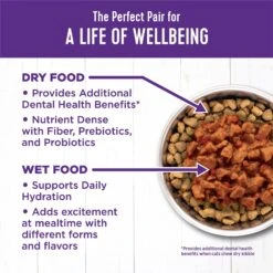 Wellness Complete Health Natural Minced Salmon Dinner Grain-Free Canned Cat Food -Almo nature Sales 52112 PT5. AC SS1800 V1636497800