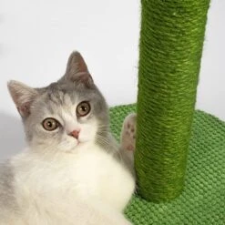 Lovely Caves 23.6-in Cactus Cat Scratching Post. Green, Large -Almo nature Sales 525702 PT2. AC SS1800 V1658219856