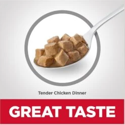 Hill's Science Diet Kitten Tender Chicken Dinner Canned Cat Food -Almo nature Sales 52774 PT2. AC SS1800 V1598151388