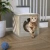 Way Basics 12.6-in Katsquare Cube Scratching Post 2 Way Basics 12.6-in Katsquare Cube Scratching Post -Almo nature Sales 530438 MAIN. AC SS1800 V1651684296