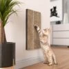 Way Basics Katwall Wall Scratching Post With Catnip 2 Way Basics Katwall Wall Scratching Post With Catnip -Almo nature Sales 530558 MAIN. AC SS1800 V1651684587