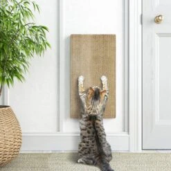 Way Basics Katwall Wall Scratching Post With Catnip -Almo nature Sales 530558 PT3. AC SS1800 V1652769688