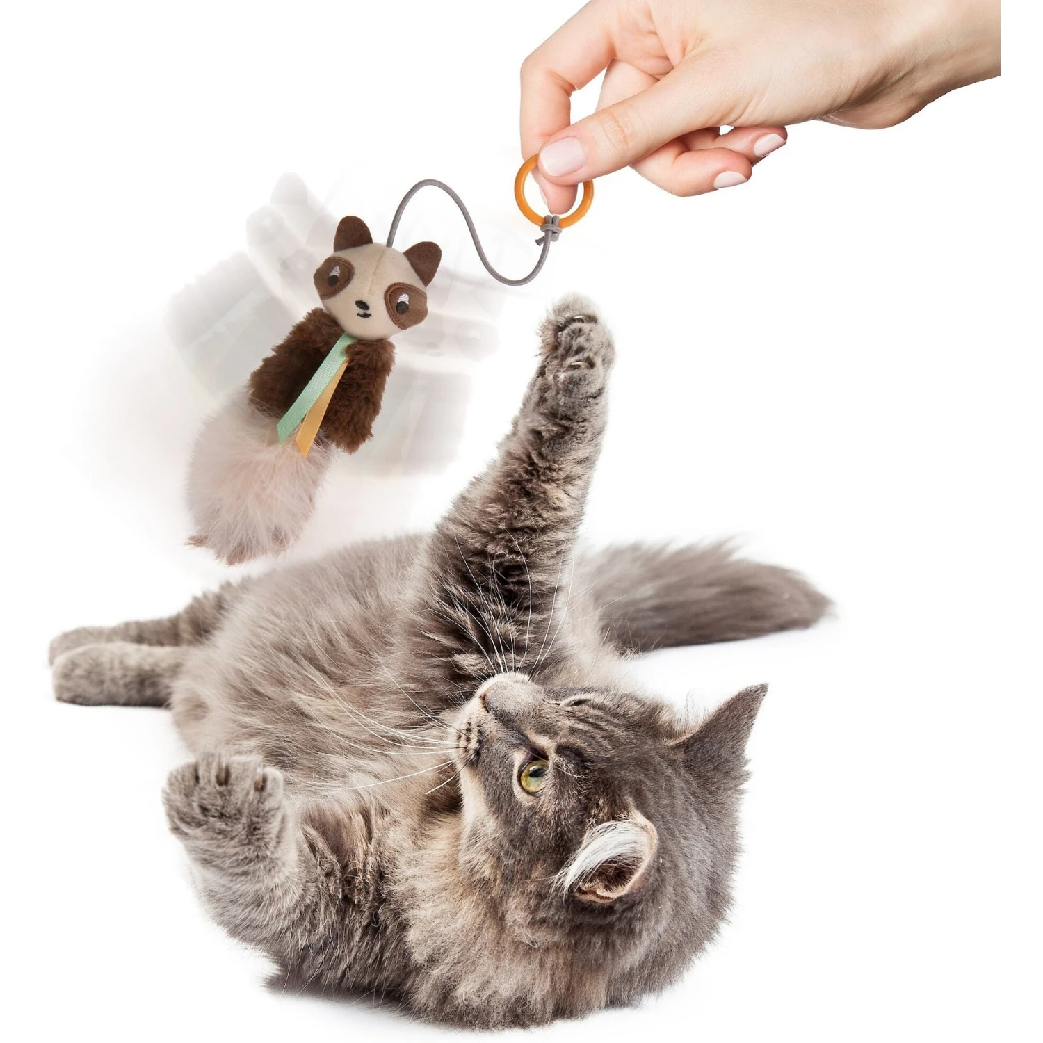 Petlinks HappyNip Sneaky Swinger Bouncy Dangle Plush Raccoon Cat Toy, Brown, Medium 4 Petlinks HappyNip Sneaky Swinger Bouncy Dangle Plush Raccoon Cat Toy, Brown, Medium - Image 2