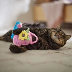 Frisco Spring Watering Can Plush Cat Toy With Catnip -Almo nature Sales 541558 PT3. AC SS1800 V1671814448
