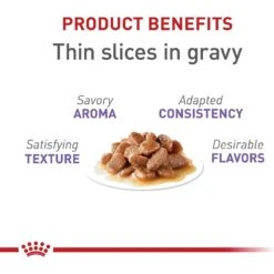 Royal Canin Feline Health Nutrition Spayed/Neutered Thin Slices In Gravy Canned Cat Food 13 Royal Canin Feline Health Nutrition Spayed/Neutered Thin Slices In Gravy Canned Cat Food -Almo nature Sales 54338 PT2. AC SS1800 V1697760163
