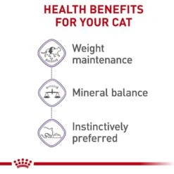 Royal Canin Feline Health Nutrition Spayed/Neutered Thin Slices In Gravy Canned Cat Food 14 Royal Canin Feline Health Nutrition Spayed/Neutered Thin Slices In Gravy Canned Cat Food -Almo nature Sales 54338 PT3. AC SS1800 V1697757373