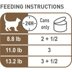 Royal Canin Aging 12+ Thin Slices In Gravy Canned Cat Food -Almo nature Sales 54340 PT2. AC SS1800 V1698094654