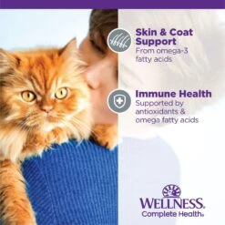 Wellness Complete Health Age Advantage Grain-Free Variety Pack Wet Cat Food, 3-oz Can, Case Of 24 -Almo nature Sales 548950 PT5. AC SS1800 V1657748946