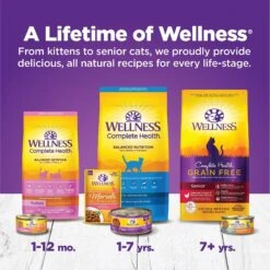 Wellness Complete Health Age Advantage Grain-Free Variety Pack Wet Cat Food, 3-oz Can, Case Of 24 -Almo nature Sales 548950 PT6. AC SS1800 V1657748947