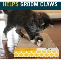 OurPets Far & Wide Cat Scratcher -Almo nature Sales 55660 PT6. AC SS1800 V1639091215