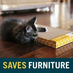 OurPets Far & Wide Cat Scratcher -Almo nature Sales 55660 PT7. AC SS1800 V1639093019