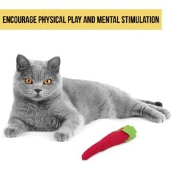 OurPets Hot Stuff Cat Toy -Almo nature Sales 55685 Pt2. AC SS1800 V1583765006