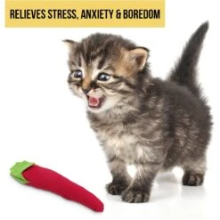 OurPets Hot Stuff Cat Toy -Almo nature Sales 55685 Pt6. AC SS1800 V1583765048
